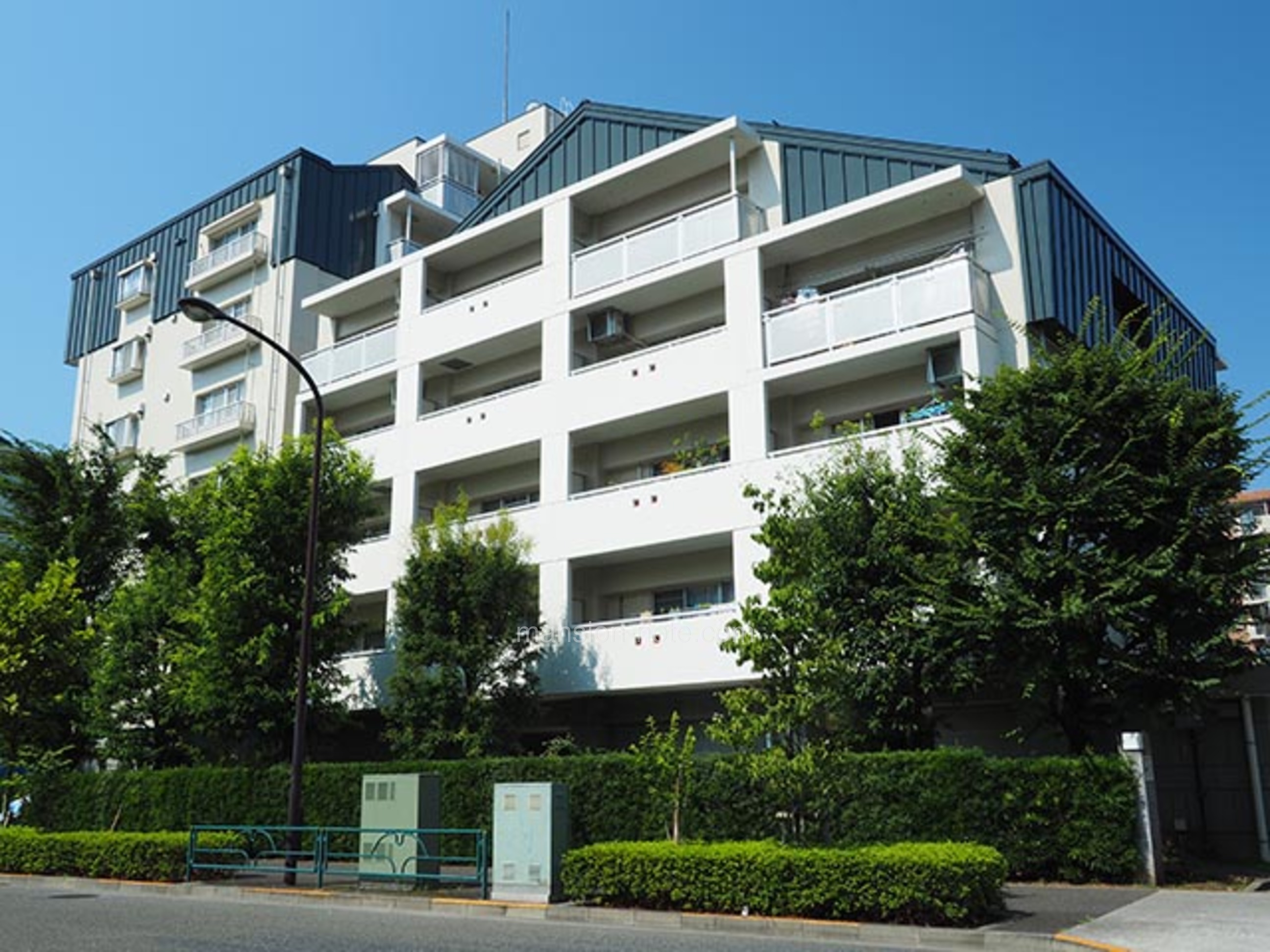 クレアーレ 東芝 中 台