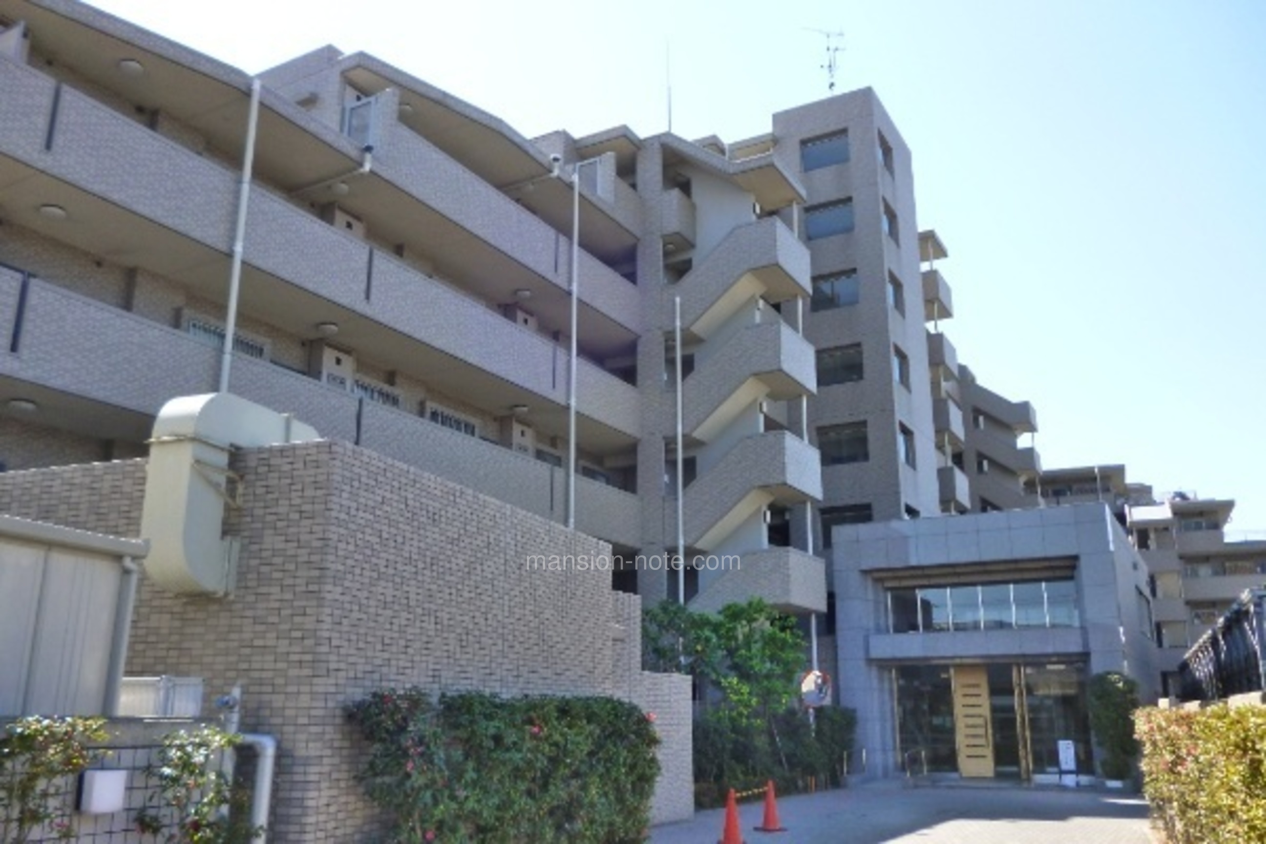 アデニウム 川越 南 大塚