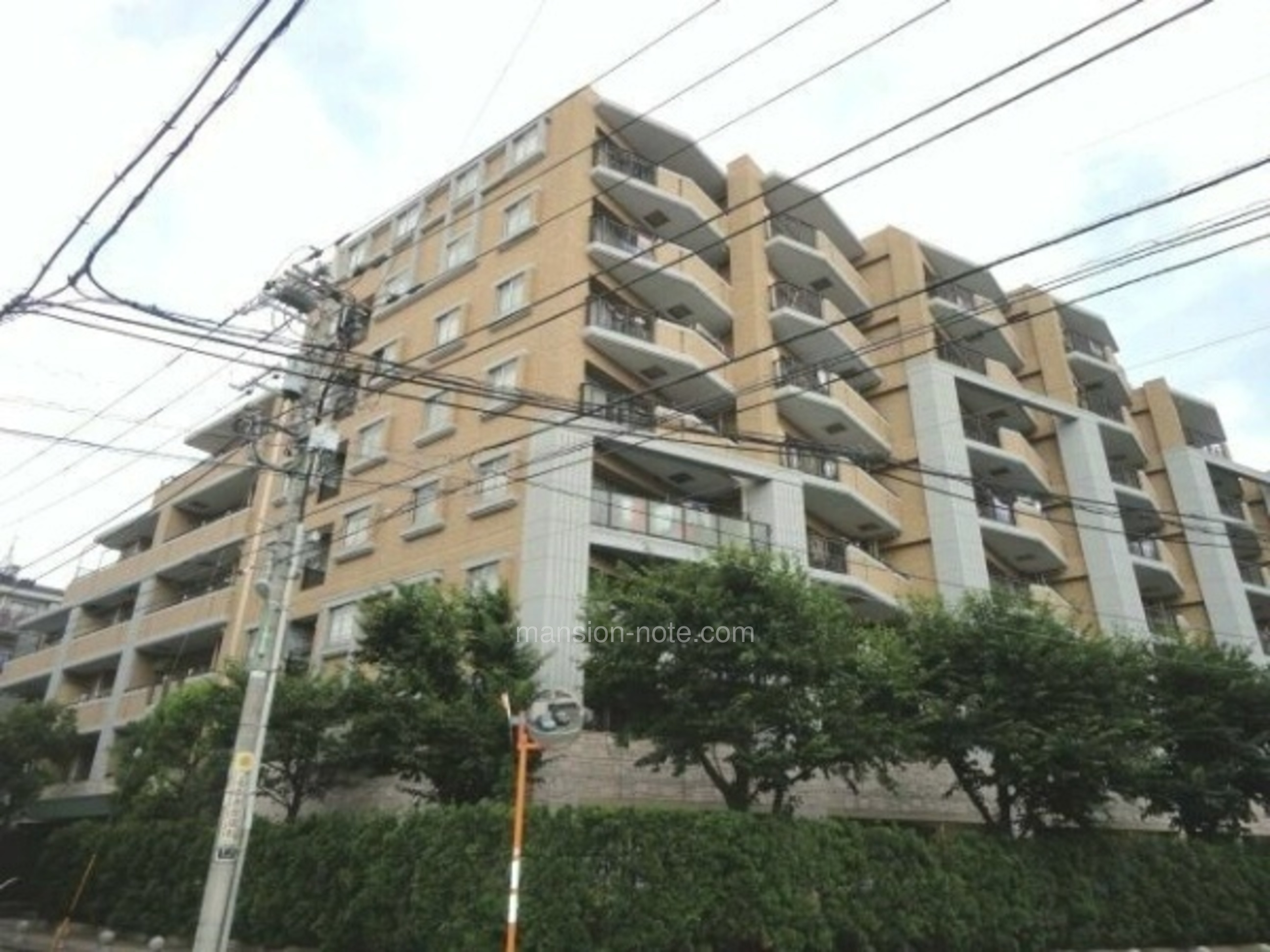 朝日 エンブレム 八雲 台