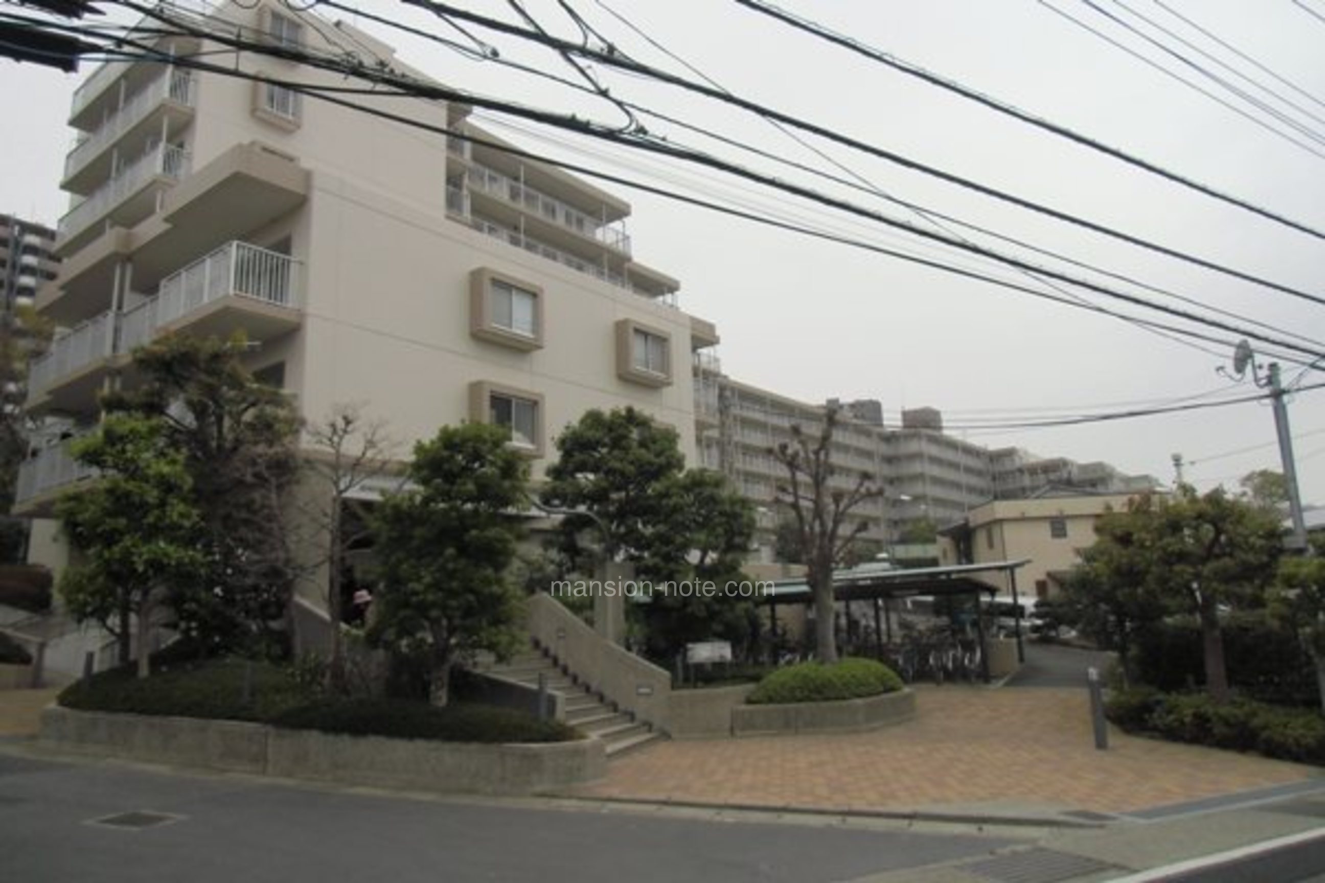 活動歴および当時の関連ビジュアル記録
