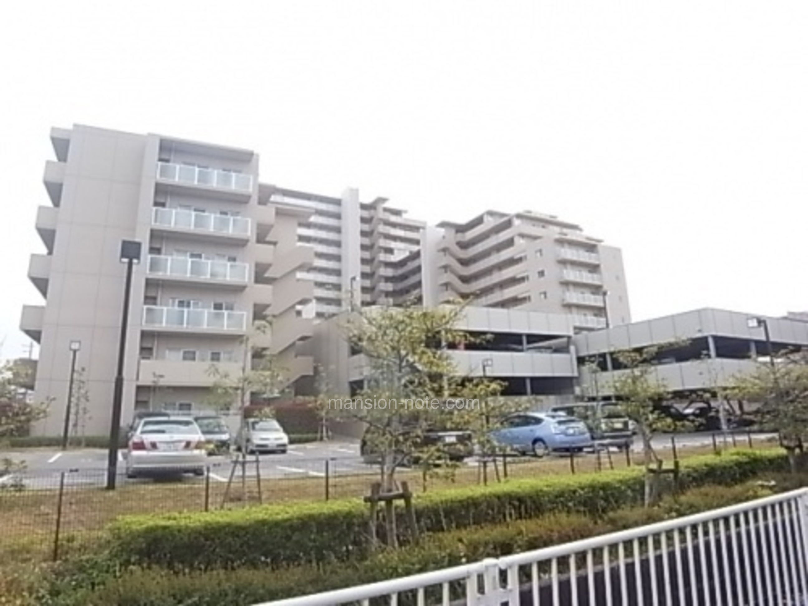 活動歴および当時の関連ビジュアル記録
